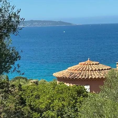 Altagna *